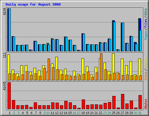 Daily usage for August 2008