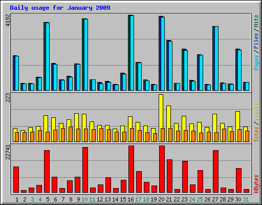 Daily usage for January 2009