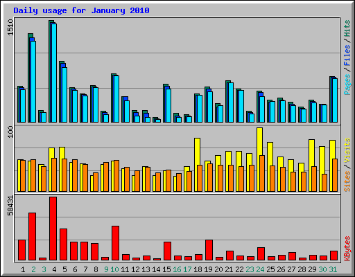 Daily usage for January 2010