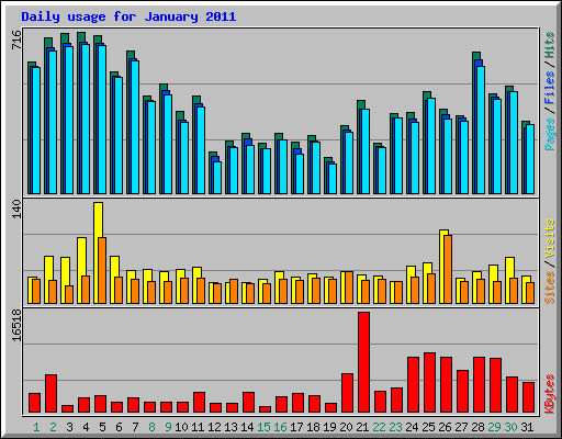 Daily usage for January 2011
