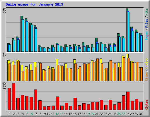 Daily usage for January 2013