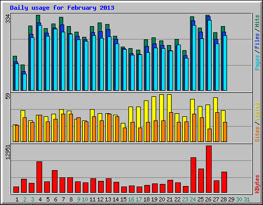Daily usage for February 2013