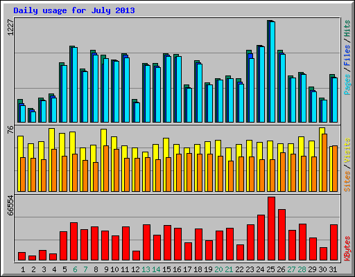Daily usage for July 2013