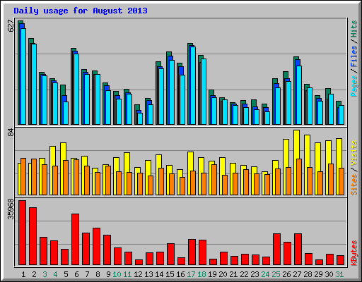 Daily usage for August 2013