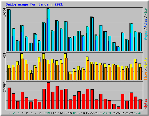 Daily usage for January 2021