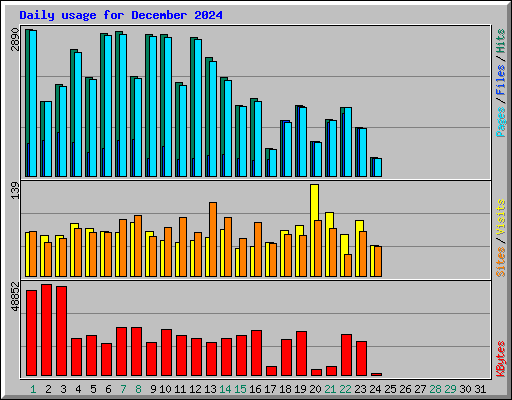 Daily usage for December 2024