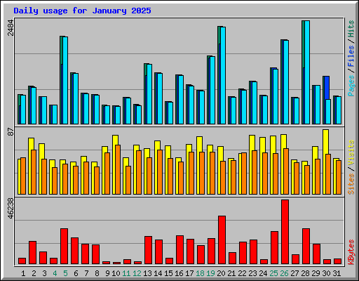 Daily usage for January 2025