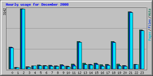 Hourly usage for December 2008