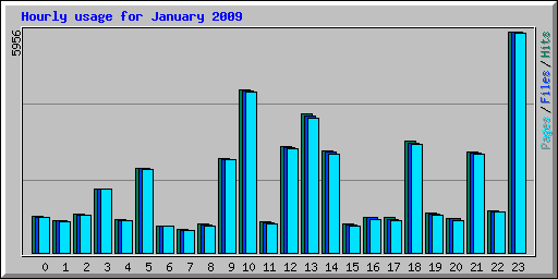 Hourly usage for January 2009