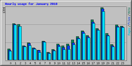 Hourly usage for January 2010