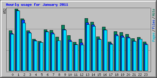 Hourly usage for January 2011