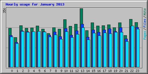 Hourly usage for January 2013