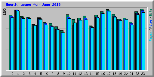 Hourly usage for June 2013
