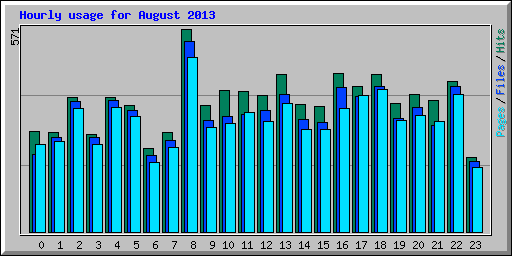 Hourly usage for August 2013