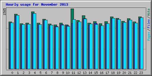 Hourly usage for November 2013
