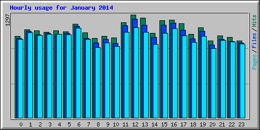 Hourly usage for January 2014