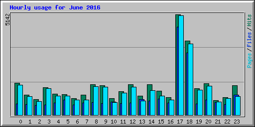 Hourly usage for June 2016