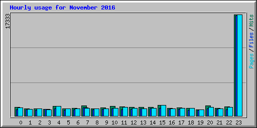 Hourly usage for November 2016