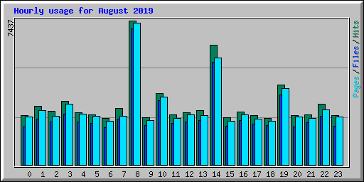Hourly usage for August 2019