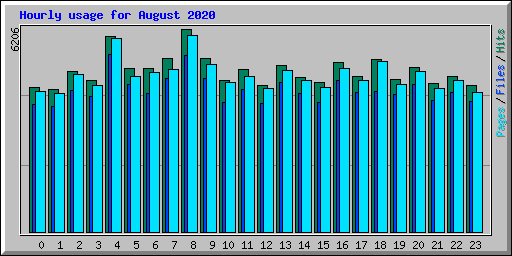 Hourly usage for August 2020