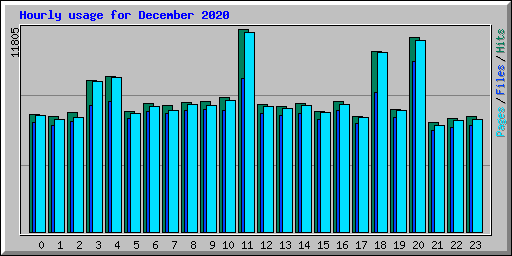 Hourly usage for December 2020