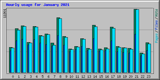 Hourly usage for January 2021