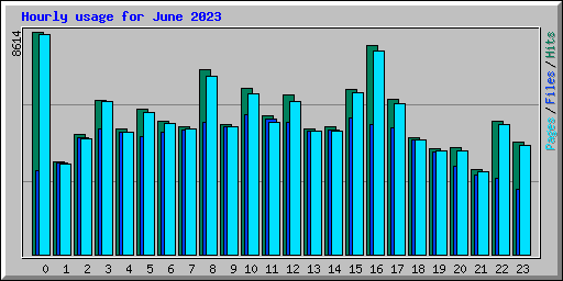Hourly usage for June 2023