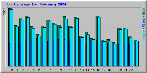 Hourly usage for February 2024