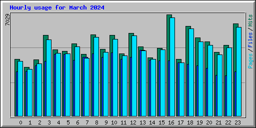 Hourly usage for March 2024