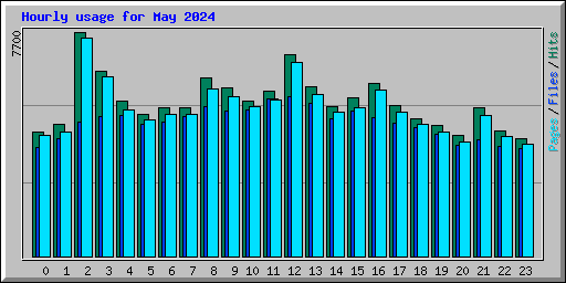 Hourly usage for May 2024