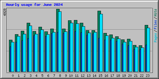 Hourly usage for June 2024