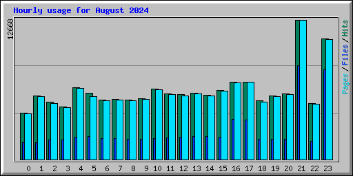 Hourly usage for August 2024
