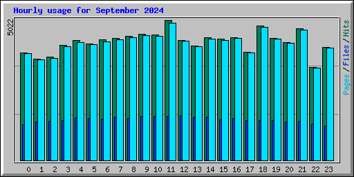 Hourly usage for September 2024