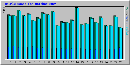 Hourly usage for October 2024