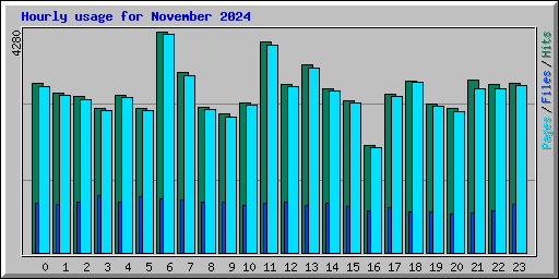 Hourly usage for November 2024