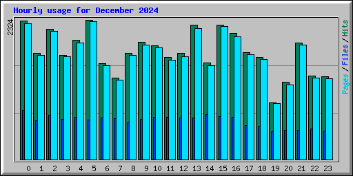 Hourly usage for December 2024