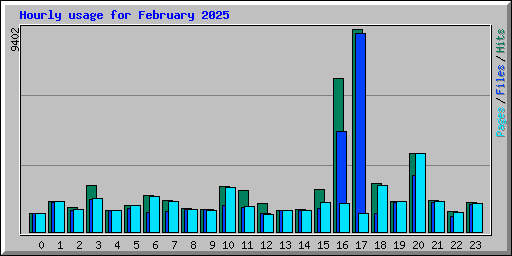 Hourly usage for February 2025