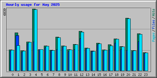 Hourly usage for May 2025