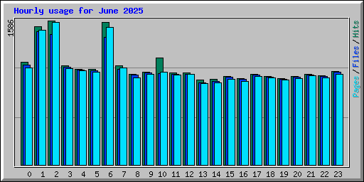 Hourly usage for June 2025