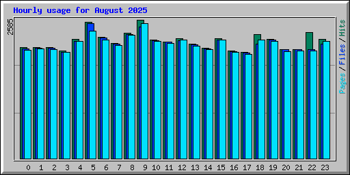Hourly usage for August 2025