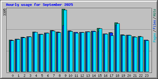 Hourly usage for September 2025