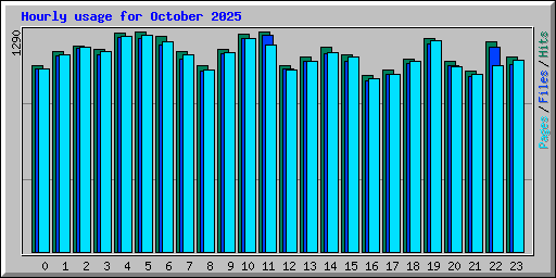 Hourly usage for October 2025