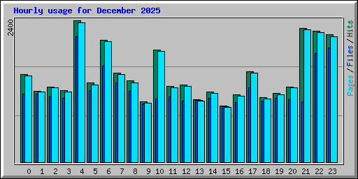 Hourly usage for December 2025