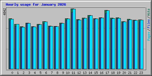 Hourly usage for January 2026
