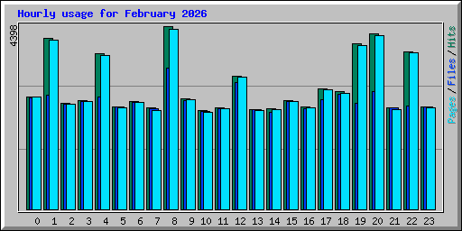 Hourly usage for February 2026